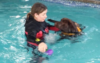 Sarah’s Hydrotherapy Course