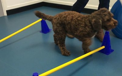 Remedial Exercise – Physio Equipment