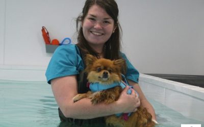 This is Buzzing Busby!