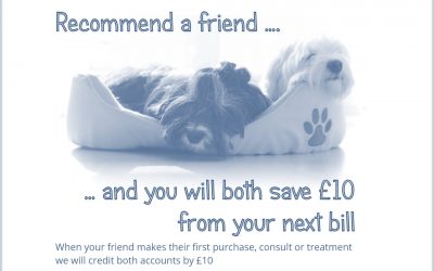 Recommend a Friend